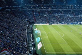 开云中国官网-赞比亚男篮在非洲预赛中拼搏不断，迈步迈向更高巅峰，赞比亚篮球运动员