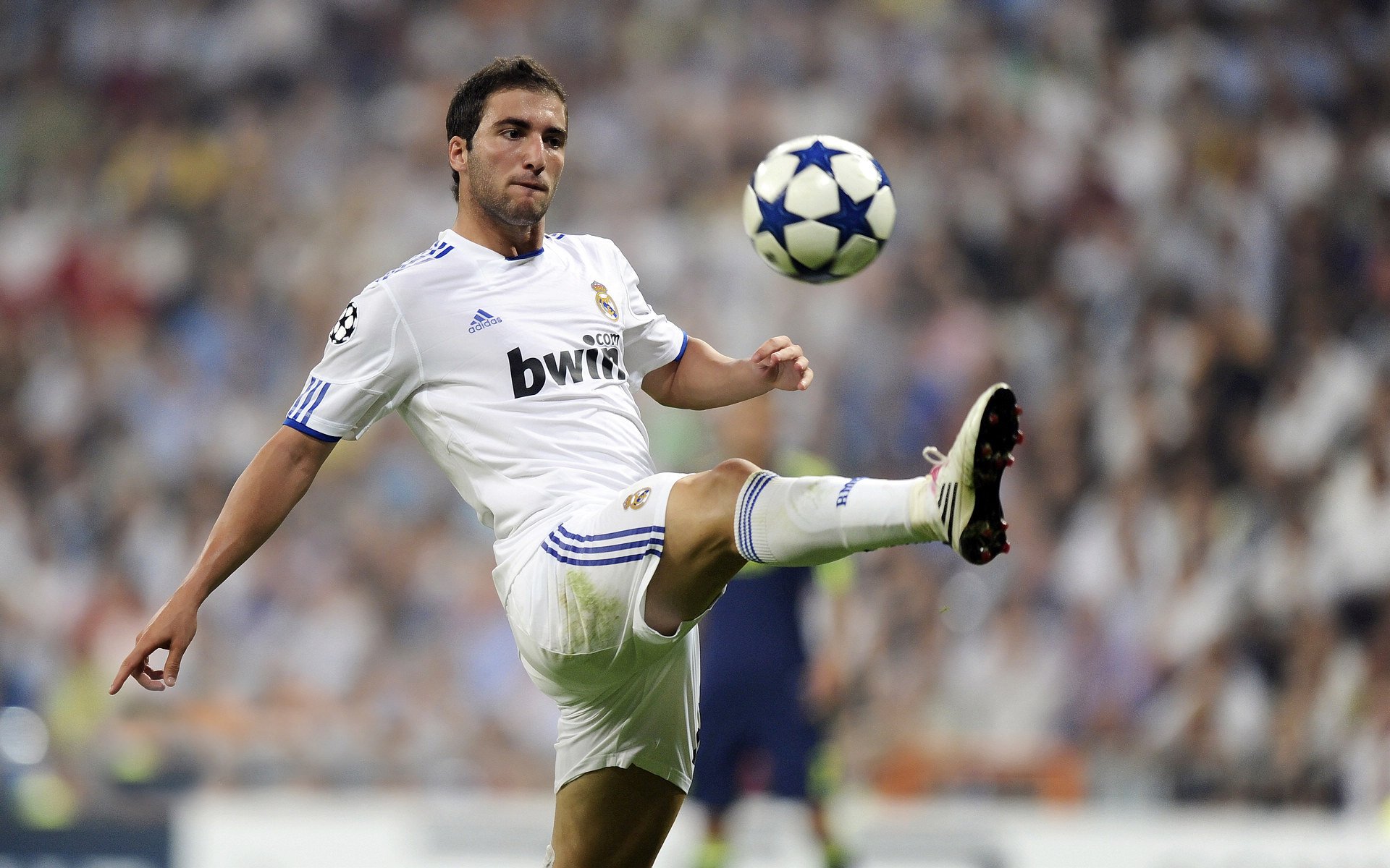 美洲杯病毒式宣传与传播效果，美洲杯感染新冠