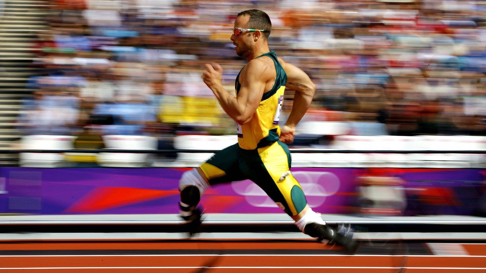 自由泳接力希腊配合默契取胜,自由泳接力破纪录