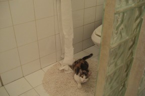 开云esports-“青训基地建设提速，中国足球新一轮人才储备”，中国足球青训计划