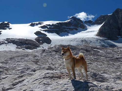 全国青少年“篮球+科技”创新成果展在广州盛大开启，推动产业升级